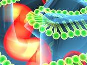 MALADIE MITOCHONDRIALE L’édition gènes pour remplacer l’ADN mitochondrial défectueux