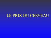 Divers- prix Cerveau