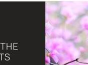 Comment créer en-tête publication unique deux colonnes avec l’éditeur site WordPress Tavern