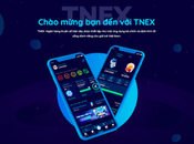 TNEX, banque style