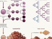 #Cell #cancer #cellulessouches #hématopoïèse Cellules souches cancéreuses voyage aventureux cellules hématopoïétiques leucémiques