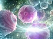 CANCER PANCRÉAS Comment l’acide hyaluronique nourrit tumeur