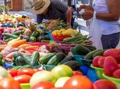 marché Andrews déménage shady Oaks Park