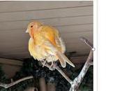 Construire style bloc d’image “Polaroid” Tavern