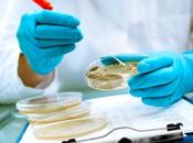 HYPERTENSION bactéries microbiote refusent antihypertenseurs