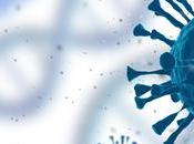 COVID-19 Pourquoi l'anticorps monoclonal est-il puissant