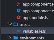 Définition valeurs partir moins variables dans Angular