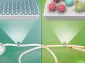 ANTIBIOFOULING Prévenir mais sans antibiotiques