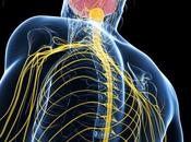 DOULEUR CHRONIQUE promesses stimulation moelle épinière