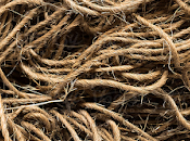 plus fond sommet monde