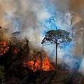 Incendies France moyens l’Office national forêts cause