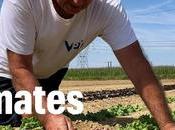 Cultiver sans fausse bonne idée médias