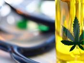 COVID-19 Cannabis hallucinogènes, leur usage marque aussi pandémique