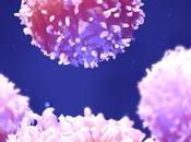 PRÉÉCLAMPSIE Découverte rôle lymphocytes