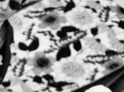 John Lennon liaison avec homme secret d’un membre Beatles révélé