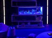 scalpel, scène Thierry Harcourt Gémeaux (Avignon 2022)