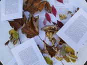 Feuilles mortes pages décollées