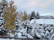 hiver précoce est-il signe d’une bonne saison