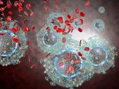MICROBIOTE bactéries fragilisent