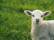 formidable pouvoir l'humilité