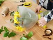 Emballer fleur plante pour offrir, comment bien faire