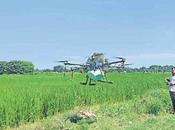 Telangana agriculteurs seront formés l’utilisation technologie drones