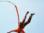 meilleure façon mourir