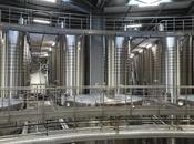 Marseillan Perle Thau Ferme Marine Musée Parfums Marty