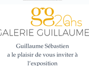 Galerie Guillaume déjà