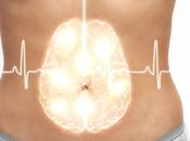 INTESTIN-CERVEAU suivait microbes trace