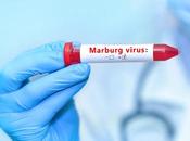 MARBURG Essai clinique positif vaccin prometteur