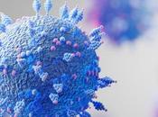 COVID-19 rebond fréquent, avec sans traitement