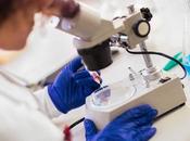 USAGE SUBSTANCES Très sous-estimé, nous l’analyse cheveux