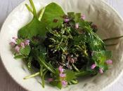 Salade fleurs chou d'un méli-mélo salades plantes sauvages (Vegan)