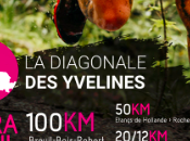 Diag78 (trail km): bonheur,