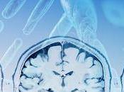 AUTISME grands sous-types identifiés