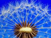 Comment utiliser technologie pour reposer votre cerveau avec micropause