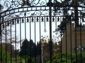 séquoia géant manoir Tittenhurst John Lennon pourrait être abattu