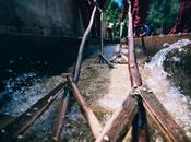 Comment technologie a-t-elle contribué démocratiser commerce café vert