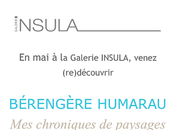Galerie INSULA exposition :Bérengère Humarau 2023.