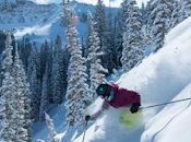 Pourrais-je battre cette saison