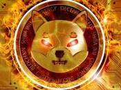 milliards sites Web, existants dans monde acceptent SHIB