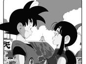 Goku Chichi n’auraient jamais marier