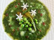 Soupe froide bourrache-guimauve, cosses petits pois légumes printemps (Vegan)