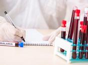 PALUDISME Désorienter parasite pour l’empêcher prospérer