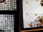 Loeb, professeur Harvard, découvre fragments dans l’océan pourraient être extraterrestres