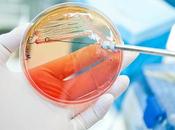 MALADIE DIARRHÉIQUE pour développer immunité, sans aucun symptôme