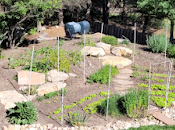 Stratégie anti-chevreuils