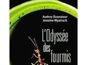 "L'odyssée fourmis" d'Audrey Dussutour Antoine Wystrach