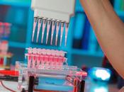 molécules lipidiques pour apaiser cerveau lésé